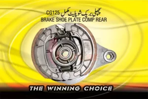 BRAKE-SHOE-PLATE-COMPLETE-REAR1