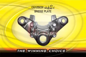 BRIDGE-PLATE1