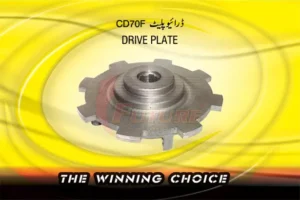 DRIVER-PLATE