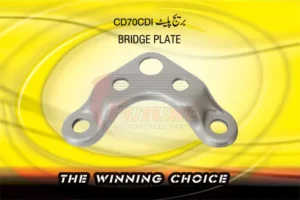 BRIDGE-PLATE